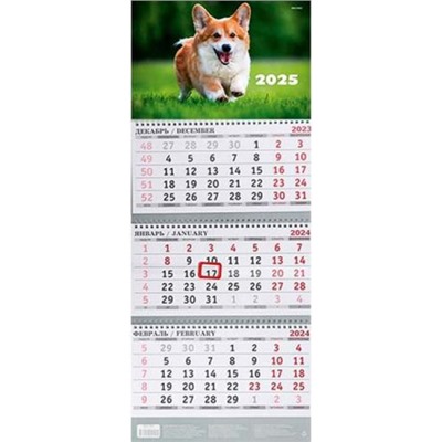 Календарь квартальный 2025 г. 3 спирали "КОРГИ НА ТРАВЕ" 3-х бл.с бегунком КК-5638 Проф-Пресс