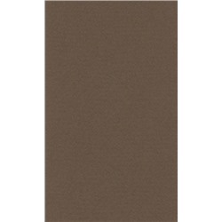 LANA Бумага для пастели «Lana Colours», 160 г/м², 42х29,7 см, 25 л, темно-коричневый