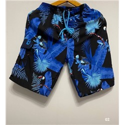 Мужские Пляжные шорты папоротник с синим принтом VD107