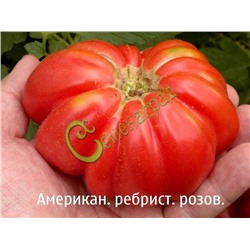 Семена почтой томат Американский ребристый розовый - 20 семян Семенаград (Россия)