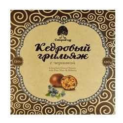 Конфеты Грильяж кедровый с черникой в шоколадной глазури Сибирский Кедр 120 гр