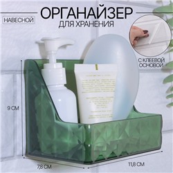 Органайзер для хранения «GREEN», навесной, 1 секция, с клеевой основой, 11,8 × 7,8 × 9 см, цвет полупрозрачный/зелёный