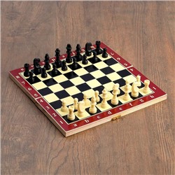 Настольная игра 3в1 "Карнал": нарды, шахматы, шашки, фишки дерево, фигуры пластик, 29 х 29 см