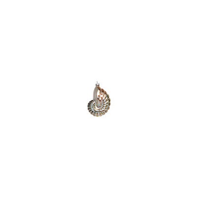 Ракушка Наутилус "Острова Океании" (стекло) 7,5х5х11,5 см