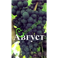 Семена Виноград амурский "Август" - 10 семян Семенаград (Россия)