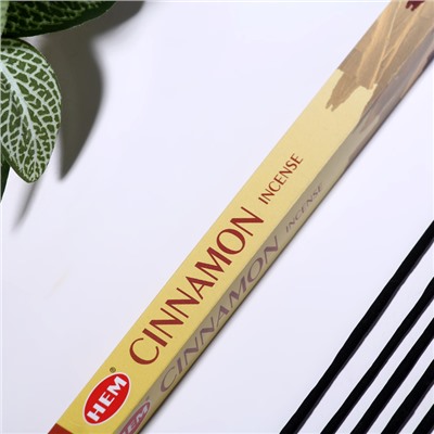 Благовония HEM "Cinnamon. Корица", 8 палочек в упаковке, четырёхгранник