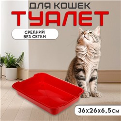 Туалет средний без сетки 36 х 26 х 6,5 см, красный