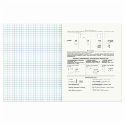 Тетрадь предметная "КЛАССИКА NATURE" 48 л., обложка картон, ИНФОРМАТИКА, клетка, BRAUBERG, 404586