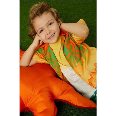 Оранжевая рубашка с рисунком для мальчика 3SKB60139TW