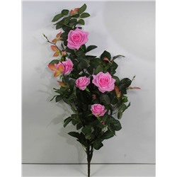 Роза кустовая крупная (ВМ61А)