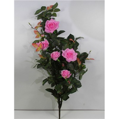 Роза кустовая крупная (ВМ61А)