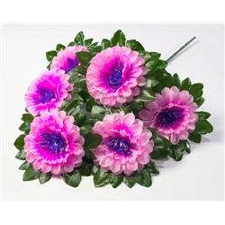 Астра с фиолетовой тычинкой 6 цветков
