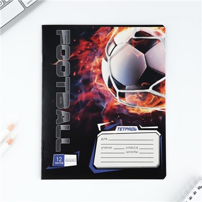Тетрадь в частую косую линейку 12 листов А5, на скрепке «1 сентября: Футбол», обложка мелованный картон, блок №1, 5 видов МИКС