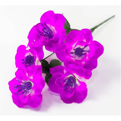 Нарцисс "Джувел" 5 цветков
