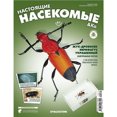 Журнал №61 "Настоящие насекомые" С ВЛОЖЕНИЕМ! Жук-дровосек эврифагус украшенный