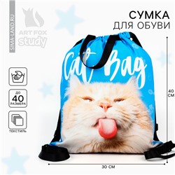 Мешок для обуви «1 сентября: Cat Bag» два вида ручек, 30 х 40 см