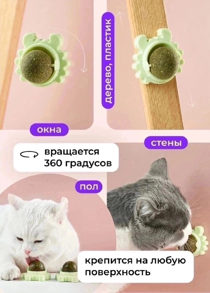 Кошачья конфета