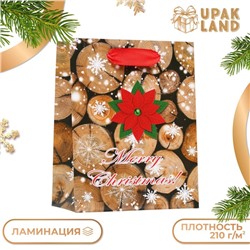 Новый год. Пакет ламинированный "Merry Christmas" 11,5 х 14,5 х 6 см