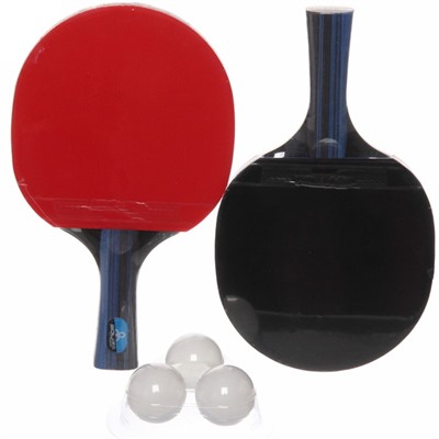 Набор для игры в настольный теннис Expert A10: ракетка 2 шт., шарик 3 шт.