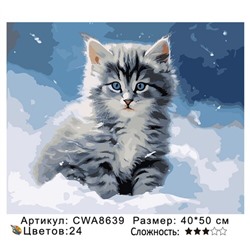 PH 40х50 CWA8639