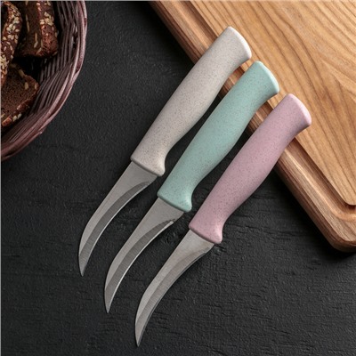 Нож для чистки овощей Доляна «Ринго», лезвие 7,5 см, цвет МИКС