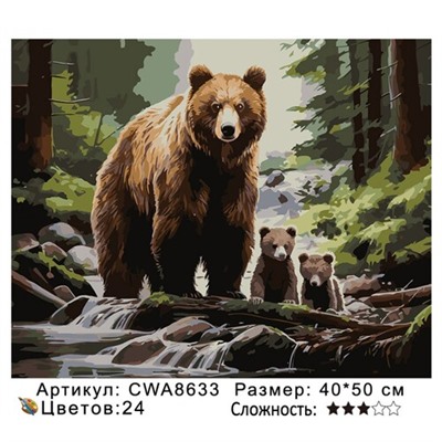 PH 40х50 CWA8633