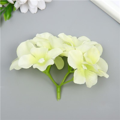 Цветы для декорирования "Гортензия" бело-зелёные 10х10 см