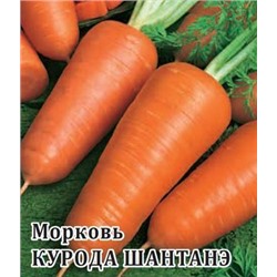 Морковь Курода Шантанэ 100 г (цена за 1 шт)