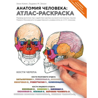 Анатомия человека: атлас-раскраска Элсон Л., Кэпит У.