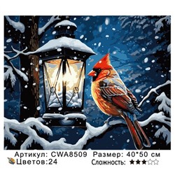 PH45 CWA8509, 40х50 см