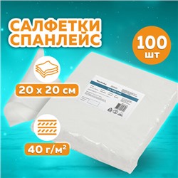 Салфетка одноразовая белая 20х20 см, КОМПЛЕКТ 100 шт., спанлейс, 40 г/м2, ЧИСТОВЬЕ, 00-144