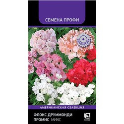 Флокс Промис Микс (Код: 91544)