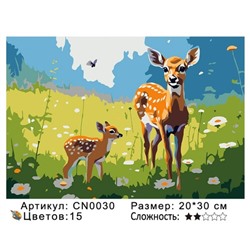 PH23 CN0030, 20х30 см