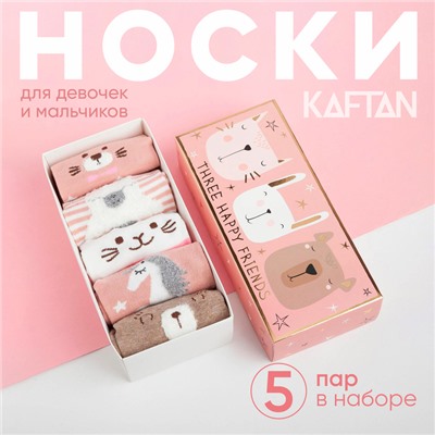 Набор носков KAFTAN "Three happy friends" 5 пар, 22-24 см