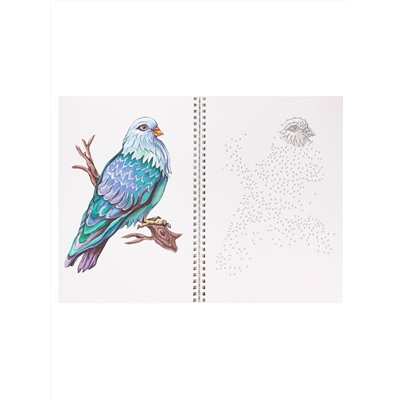 Альбом-антистресс Prof-Press А4 на спирали "Рисуем от точки к точке. Птицы, бабочки, стрекозы" (32-5999) 32 листа