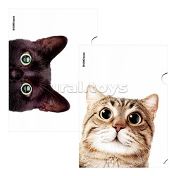 Папка-уголок пластиковая Hiding Cats, A4, ассорти (в пакете по 12 шт.) 4 дизайна