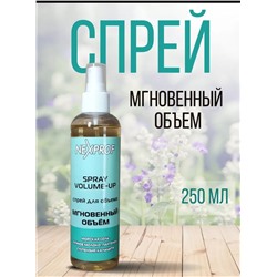 Спрей для объема 250мл(NEXXT SPRAY VOLUME-UP)