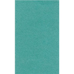 LANA Бумага для пастели «Lana Colours», 160 г/м², 21х29,7 см, 25 л, мята