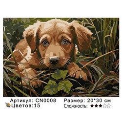 PH23 CN0008, 20х30 см