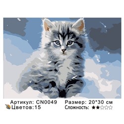 PH23 CN0049, 20х30 см