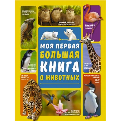 Моя первая большая книга о животных Вайткене Л.Д., Ермакович Д.И.