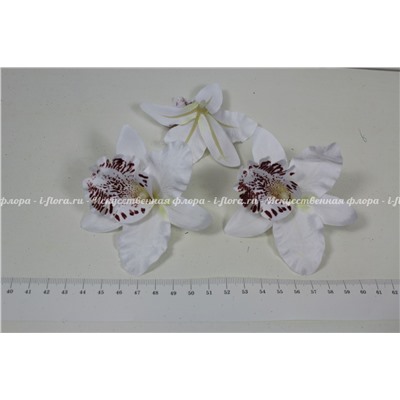 Головка Орхидея цимбидиум мелкая (упаковка 20 штук)