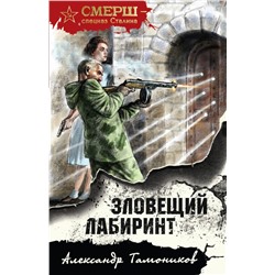 Зловещий лабиринт Тамоников А.А.