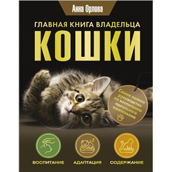 Главная книга владельца кошки Орлова А.