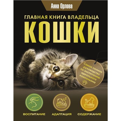 Главная книга владельца кошки Орлова А.