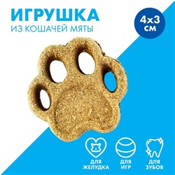 Игрушка для кошек «Лапа» из кошачьей мяты, 5,5 х 1,5 см