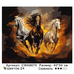 PH 40х50 CWA8670