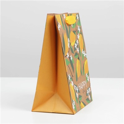 Пакет подарочный крафтовый вертикальный, упаковка, «Happy day», MS 18 х 23 х 8 см