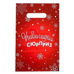 Пакет "Новогодний сюрприз", полиэтиленовый с вырубной ручкой, 20х30 см, 30 мкм набор 20 штук