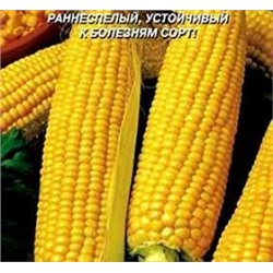 Кукуруза сахарная Лакомка Белогорья 100,0 г (цена за 1 шт)